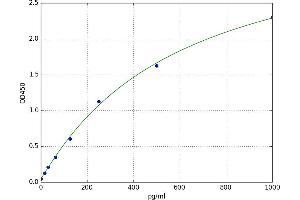 Interleukin 34 (IL34) ELISA Kit