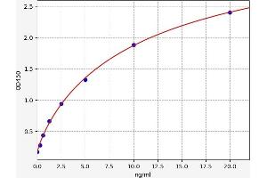 HSF1 ELISA Kit