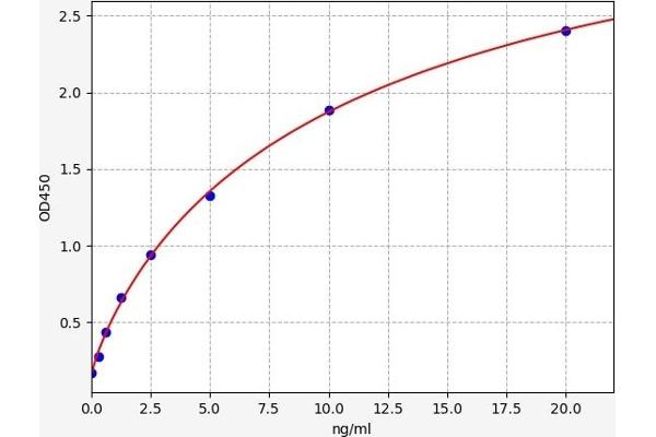 HSF1 ELISA Kit