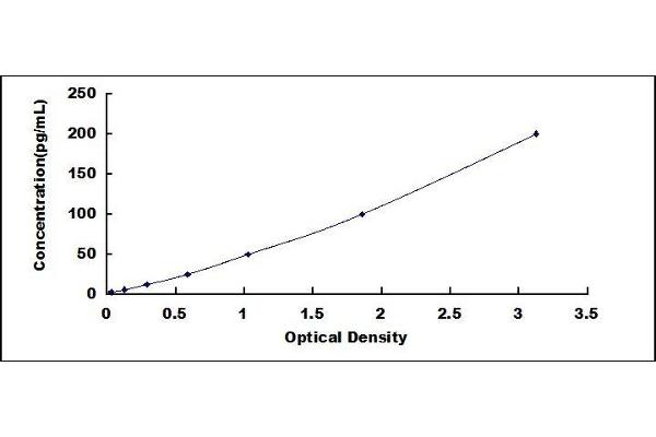 CD83 ELISA Kit