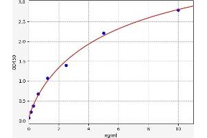 Catenin (Cadherin-Associated Protein), beta 1, 88kDa (CTNNB1) ELISA Kit