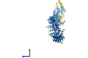 Protein Structure (PS) image for Testis Expressed 11 (TEX11) (AA 1-947) protein (His tag) (ABIN7563634)