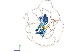 Protein Structure (PS) image for Potassium Voltage-Gated Channel, Shab-Related Subfamily, Member 2 (KCNB2) (AA 1-911) protein (His tag) (ABIN7554245)
