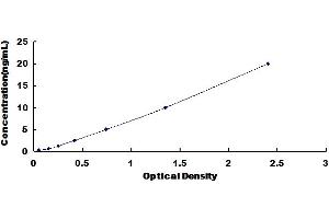 Typical Standard Curve for Rat TOP2 ELISA.
