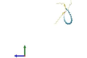 AlphaFold protein structure predicition of Mouse Recombinant Sprr1a Protein, UniprotID Q62266