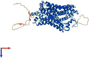 SLC6A3 Protein (AA 1-620) (His tag)