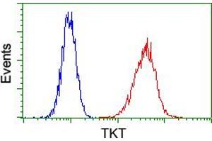 Flow cytometric analysis of Hela cells, using anti-TKT antibody (ABIN2453725), (Red) compared to a nonspecific negative control antibody (TA50011) (Blue).