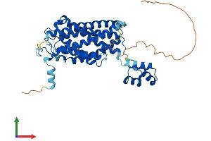 Protein Structure (PS) image for LAG1 Homolog, Ceramide Synthase 5 (LASS5) (AA 1-392) protein (His tag) (ABIN7553314)