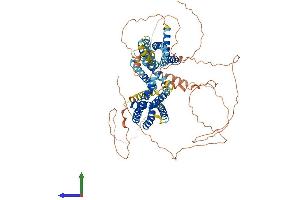 Protein Structure (PS) image for Potassium Voltage-Gated Channel, KQT-Like Subfamily, Member 2 (KCNQ2) (AA 1-759) protein (His tag) (ABIN7565310)