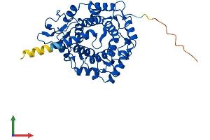 Protein Structure (PS) image for Protein Geranylgeranyltransferase Type I, beta Subunit (PGGT1B) (AA 1-377) protein (His tag) (ABIN7558910)