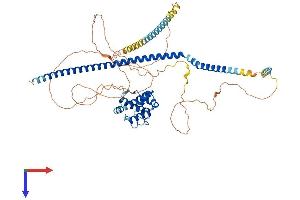 TRAF3IP1 Protein (AA 1-625) (His tag)