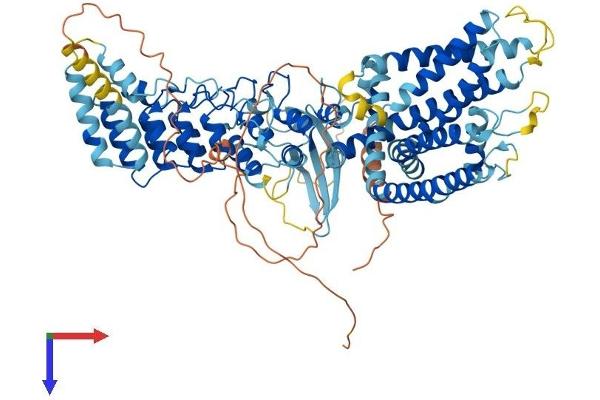 TRPV3 Protein (AA 1-790) (His tag)