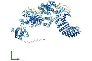 AlphaFold protein structure predicition of Human Recombinant NOD1 Protein, UniprotID Q9Y239