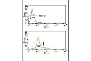 PCSK2 Antibody (Center) (ABIN391909 and ABIN2841723) flow cytometry analysis of K562 cells (bottom histogram) compared to a negative control cell (top histogram). (PCSK2 Antikörper  (AA 318-346))