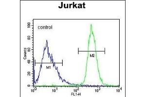 FFAR3 Antibody (C-term) (ABIN651415 and ABIN2840225) flow cytometric analysis of Jurkat cells (right histogram) compared to a negative control cell (left histogram). (FFAR3 Antikörper  (C-Term))