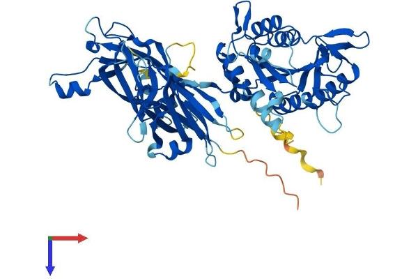CPNE9 Protein (AA 1-553) (His tag)