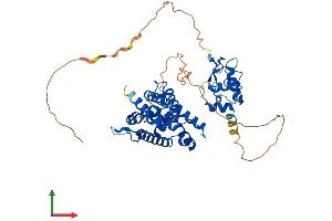 Protein Structure (PS) image for Nuclear Receptor Subfamily 6, Group A, Member 1 (NR6A1) (AA 1-480) protein (His tag) (ABIN7549925)