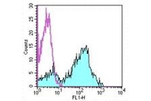 Image no. 1 for anti-CD5 (CD5) antibody (FITC) (ABIN473482) (CD5 Antikörper  (FITC))