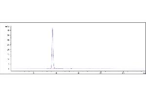 Anti- Human FGFR2( bemarituzumab) is 100 % , determined by SEC-HPLC.