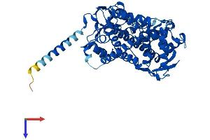 CYP2R1 Protein (AA 1-501) (His tag)