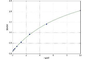 A typical standard curve (CYP1A2 ELISA Kit)