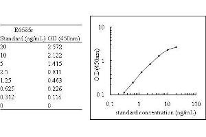 ELISA image for Cyclin D1 (CCND1) ELISA Kit (ABIN579693)