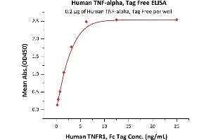 Immobilized Human , Tag Free, low endotoxin (active trimer) (MALS verified) (ABIN2181831,ABIN2181832,ABIN6253648) at 2 μg/mL (100 μL/well) can bind Human TNFR1, Fc Tag (ABIN2181840,ABIN2181839) with a linear range of 0. (TNF alpha Protein (AA 77-233))