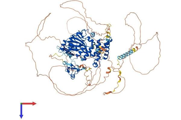 PHF8 Protein (AA 1-1023) (His tag)