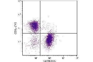 BALB/c mouse splenocytes were stained with Hamster Anti-Mouse CD3ε-CY5. (CD3 epsilon Antikörper  (Cy5))