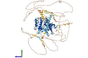 AlphaFold protein structure predicition of Human Recombinant SIK2 Protein, UniprotID Q9H0K1 (SIK2 Protein (AA 1-926) (His tag))