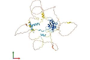 Protein Structure (PS) image for Src Homology 2 Domain Containing Adaptor Protein B (SHB) (AA 1-503) protein (His tag) (ABIN7558041)