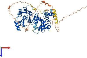 AlphaFold protein structure predicition of Mouse Recombinant Smok1 Protein, UniprotID Q9QYZ4