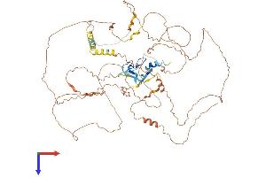 SCEL Protein (AA 1-688) (His tag)