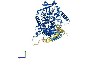 Protein Structure (PS) image for Flavin Containing Monooxygenase 4 (FMO4) (AA 1-558) protein (His tag) (ABIN7547728)