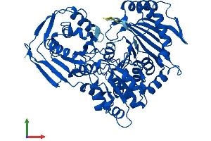 Protein Structure (PS) image for Phosphoglucomutase 1 (PGM1) (AA 1-562) protein (His tag) (ABIN7550769)