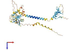RNF215 Protein (AA 1-379) (His tag)