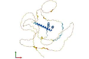 Protein Structure (PS) image for Homeobox A10 (HOXA10) (AA 1-410) protein (His tag) (ABIN7548376)