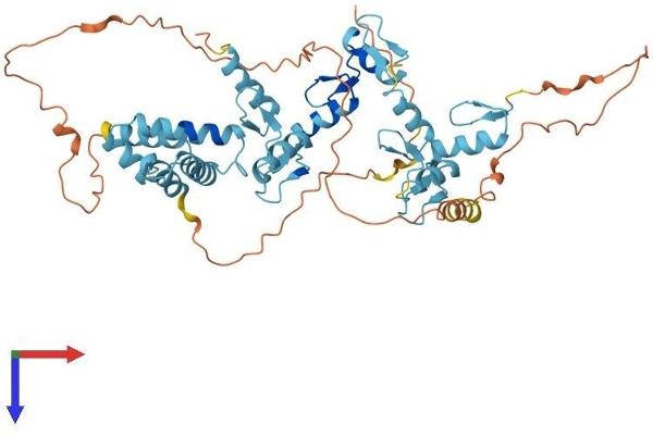 ZSCAN21 Protein (AA 1-473) (His tag)