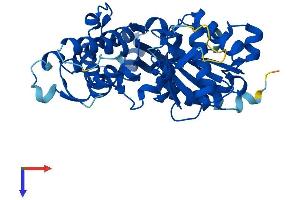 ACTRT2 Protein (AA 1-377) (His tag)