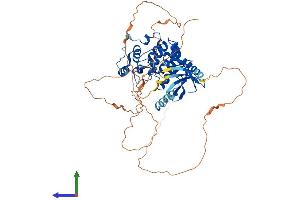 Protein Structure (PS) image for Cyclin Dependent Kinase Like 2 (CDKL2) (AA 1-568) protein (His tag) (ABIN7561722)