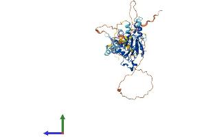 Protein Structure (PS) image for Interferon Regulatory Factor 5 (IRF5) (AA 1-497) protein (His tag) (ABIN7556477)