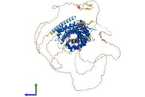 AlphaFold protein structure predicition of Human Recombinant CTNND1 Protein, UniprotID O60716