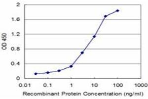 Detection limit for recombinant GST tagged UMPS is approximately 0.