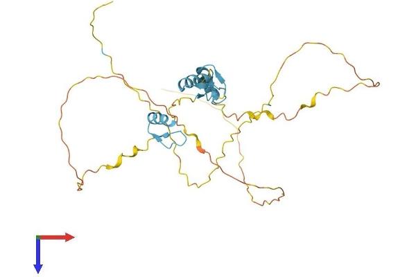 ZNF414 Protein (AA 1-312) (His tag)