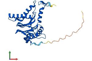 Protein Structure (PS) image for Proteasome Subunit alpha Type 1 (PSMA1) (AA 1-263) protein (His tag) (ABIN7556220)