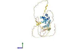 AlphaFold protein structure predicition of Human Recombinant MEIS3P2 Protein, UniprotID A8K0S8 (MEIS3P2 Protein (AA 1-358) (His tag))