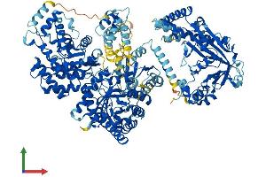 Protein Structure (PS) image for 5-Methyltetrahydrofolate-Homocysteine Methyltransferase (MTR) (AA 1-1253) protein (His tag) (ABIN7562002)