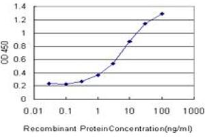 Detection limit for recombinant GST tagged GRK1 is approximately 0. (GRK1 Antikörper  (AA 51-150))