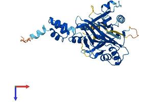FBXO22 Protein (AA 1-403) (His tag)