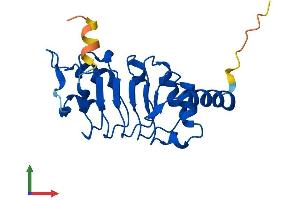 Protein Structure (PS) image for Leucine Rich Transmembrane and 0-Methyltransferase Domain Containing (LRTOMT) (AA 1-192) protein (His tag) (ABIN7549134)